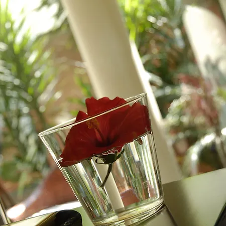 Europa Hotel 4*