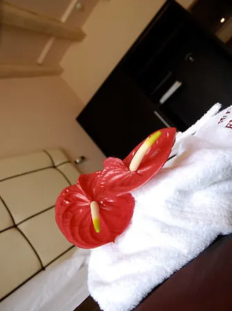 Europa Hotel 4*